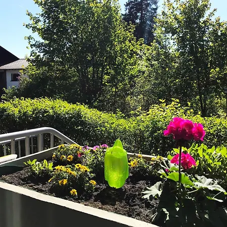 Appartamento Fuer 2 Personen Mit Wintergarten By Interhome